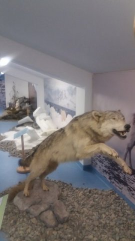 I Liceum w okręgowym etapie XLIV Olimpiady Geograficznej